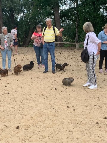 Lutterzand 12.06.2022