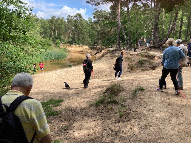 Lutterzand 12.06.2022