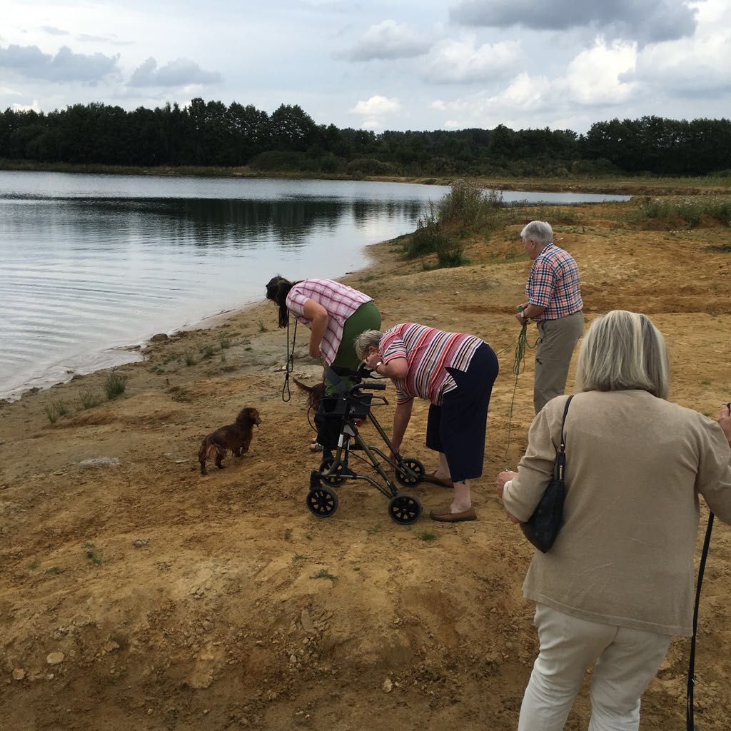 strnfeldsee 2016 2