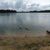 strnfeldsee_2016_3