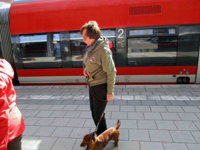 Übungsstunde in der City