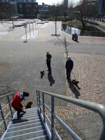 Übungsstunde in der City