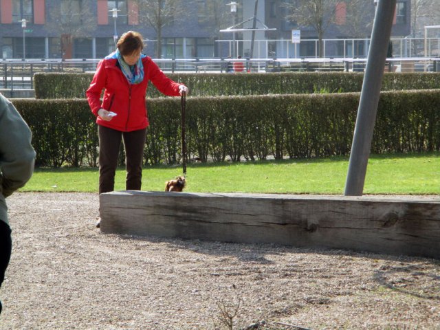 Übungsstunde in der City