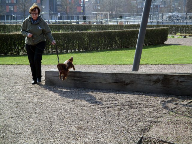 Übungsstunde in der City