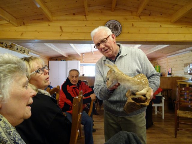 Wildtiere in der Teckelvilla