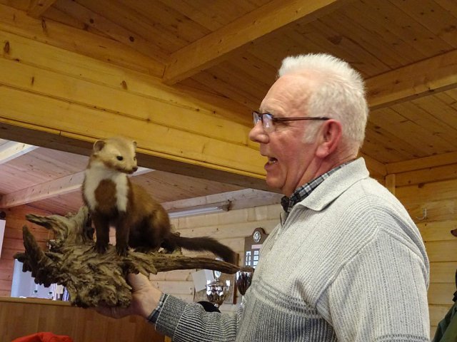 Wildtiere in der Teckelvilla