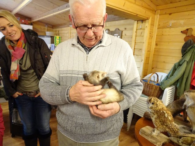 Wildtiere in der Teckelvilla