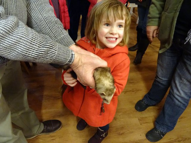 Wildtiere in der Teckelvilla