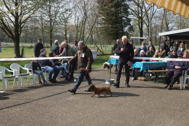 Zuchtschau 14.04.2019