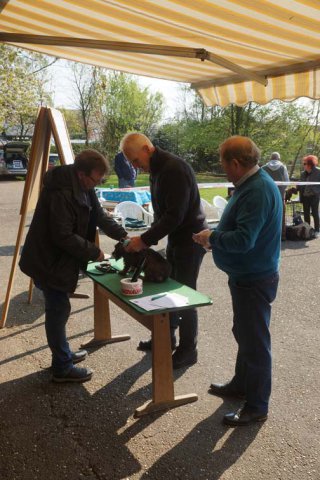 Zuchtschau 14.04.2019