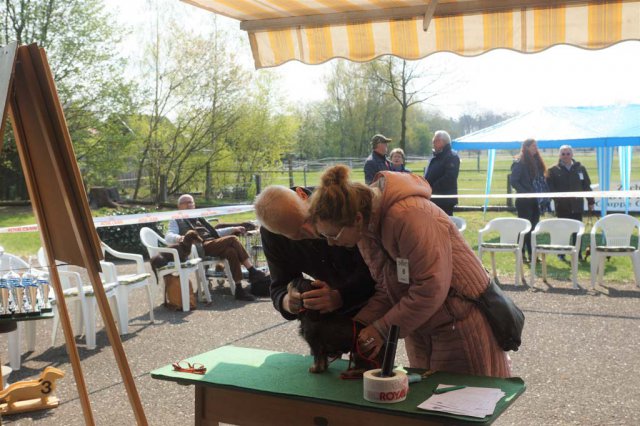 Zuchtschau 14.04.2019