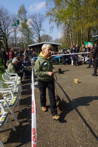 Zuchtschau 14.04.2019