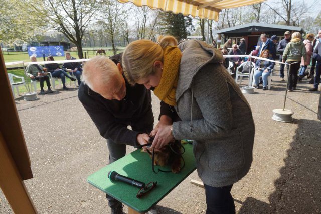 Zuchtschau 14.04.2019