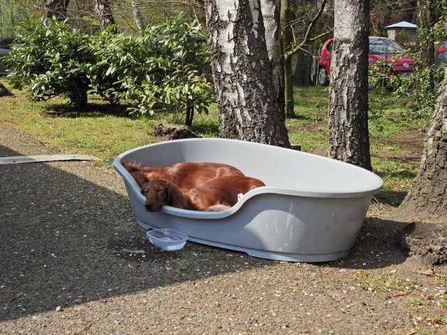 Zuchtschau 14.04.2019