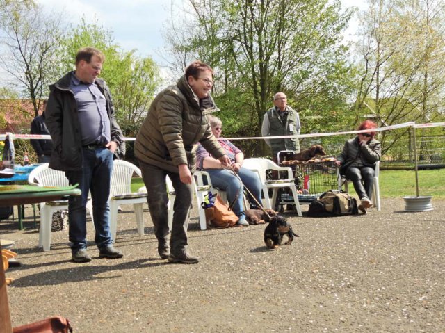 Zuchtschau 14.04.2019