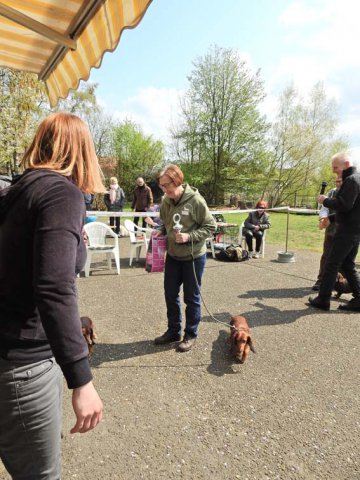 Zuchtschau 14.04.2019