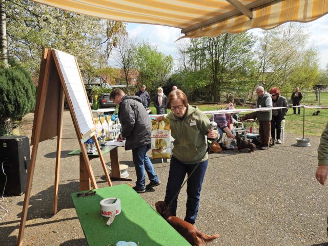 Zuchtschau 14.04.2019