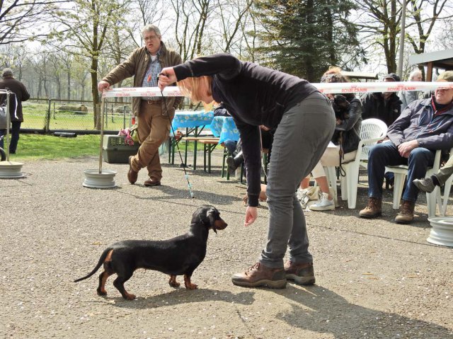 Zuchtschau 14.04.2019